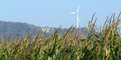 Windkümmerer: Kommunen bei Windprojekten begleiten